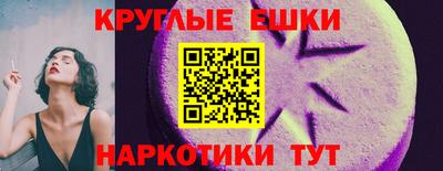 сатива Моздок